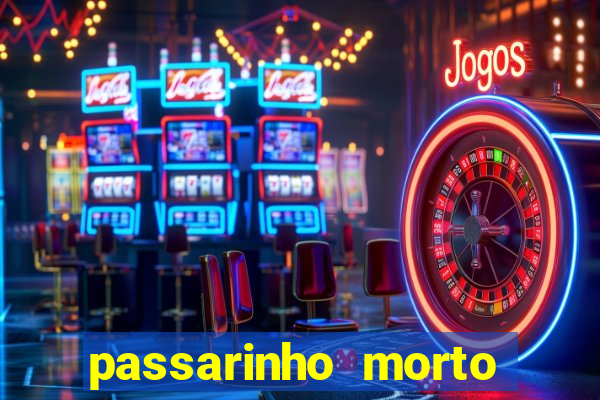 passarinho morto significado espiritual